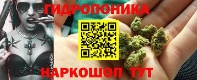 гидропоника Тулун