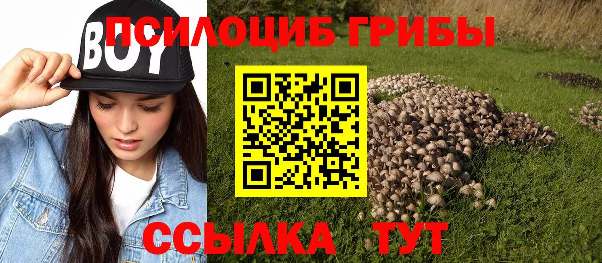 Псилоцибиновые грибы MAGIC MUSHROOMS Надым